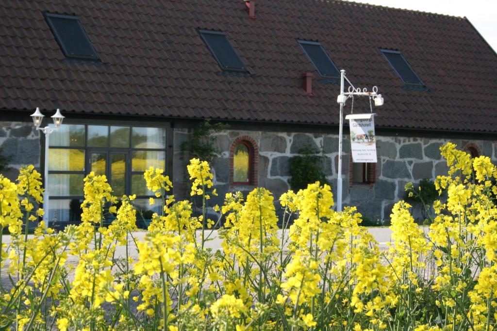 Blasingsborgs Gardshotell Pa Oesterlen Kivik Bagian luar foto